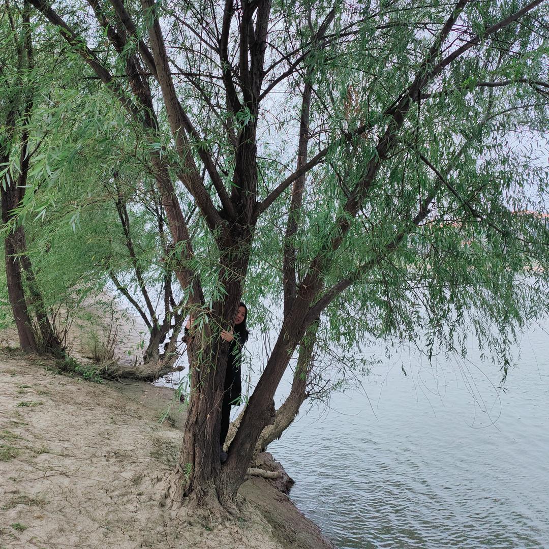 慧琳～海纳百川