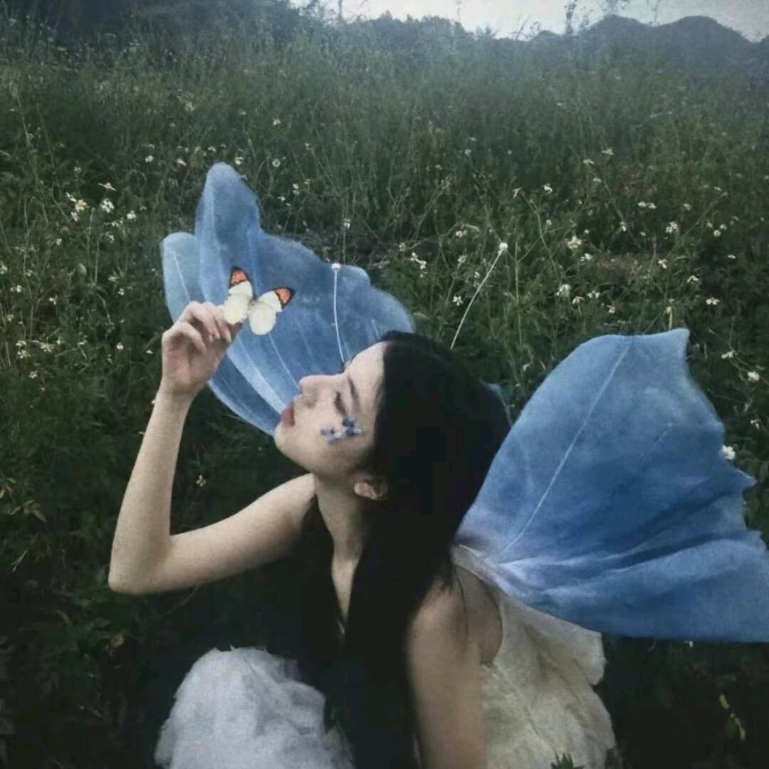 豹豹羊