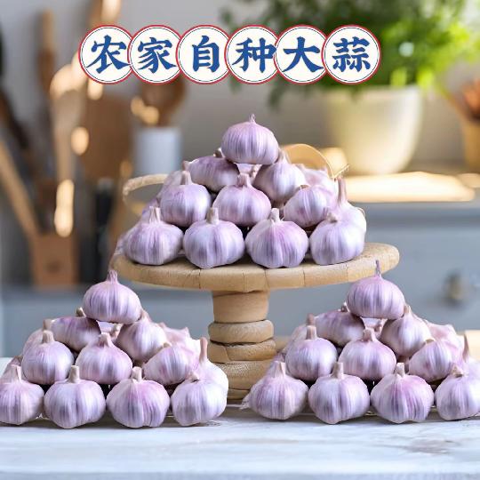 清洋物语农产品