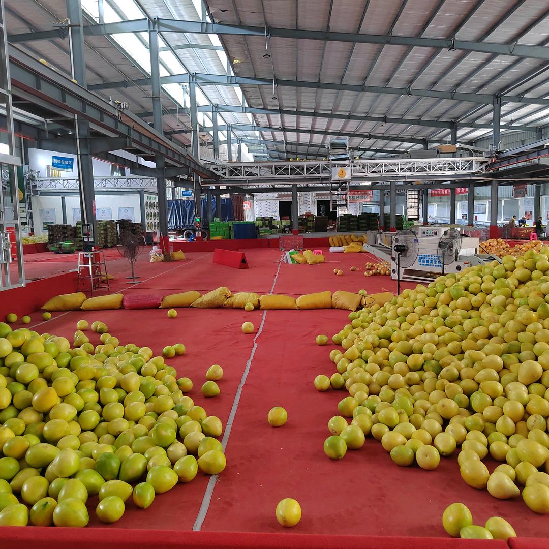 Внешняя торговля фру