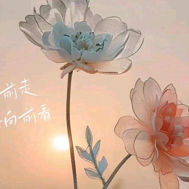星宇星辰🌃头像