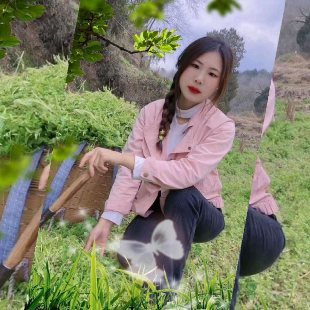追求完美