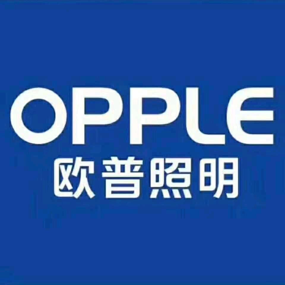 欧普照明安徽一号店