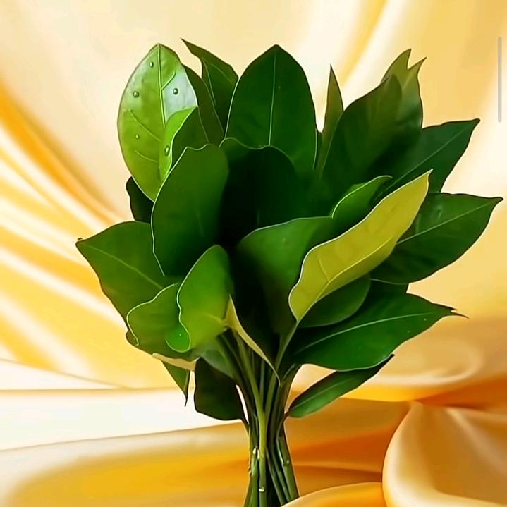 ⚠️