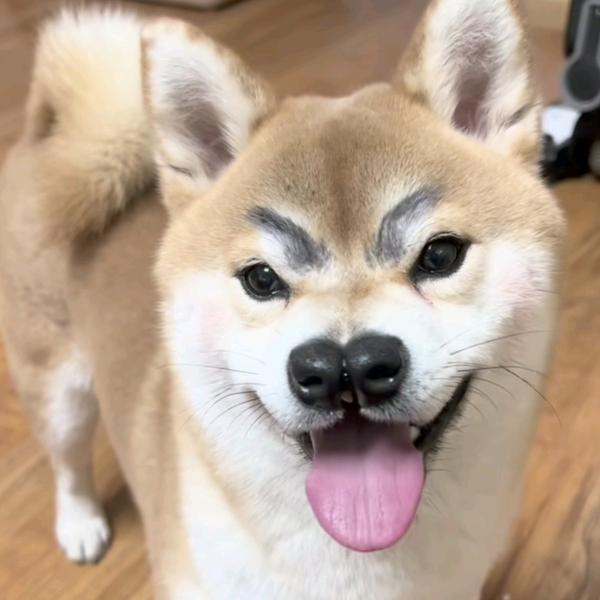 你瞅啥？
