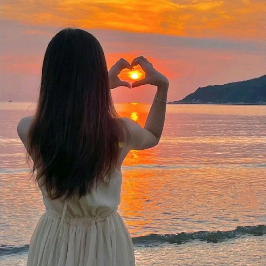 小绵羊