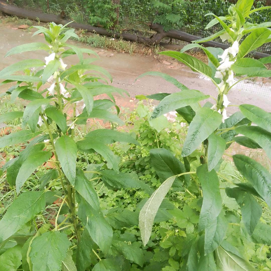 坏情绪走开