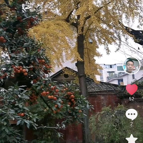向💰看