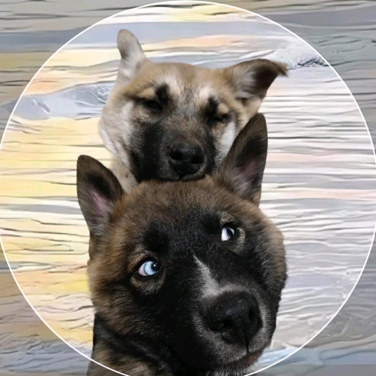 🐶狗皇帝