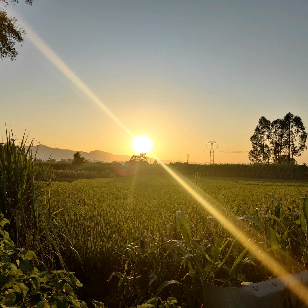 云梯村阿广