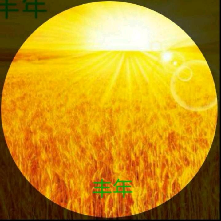 丰年