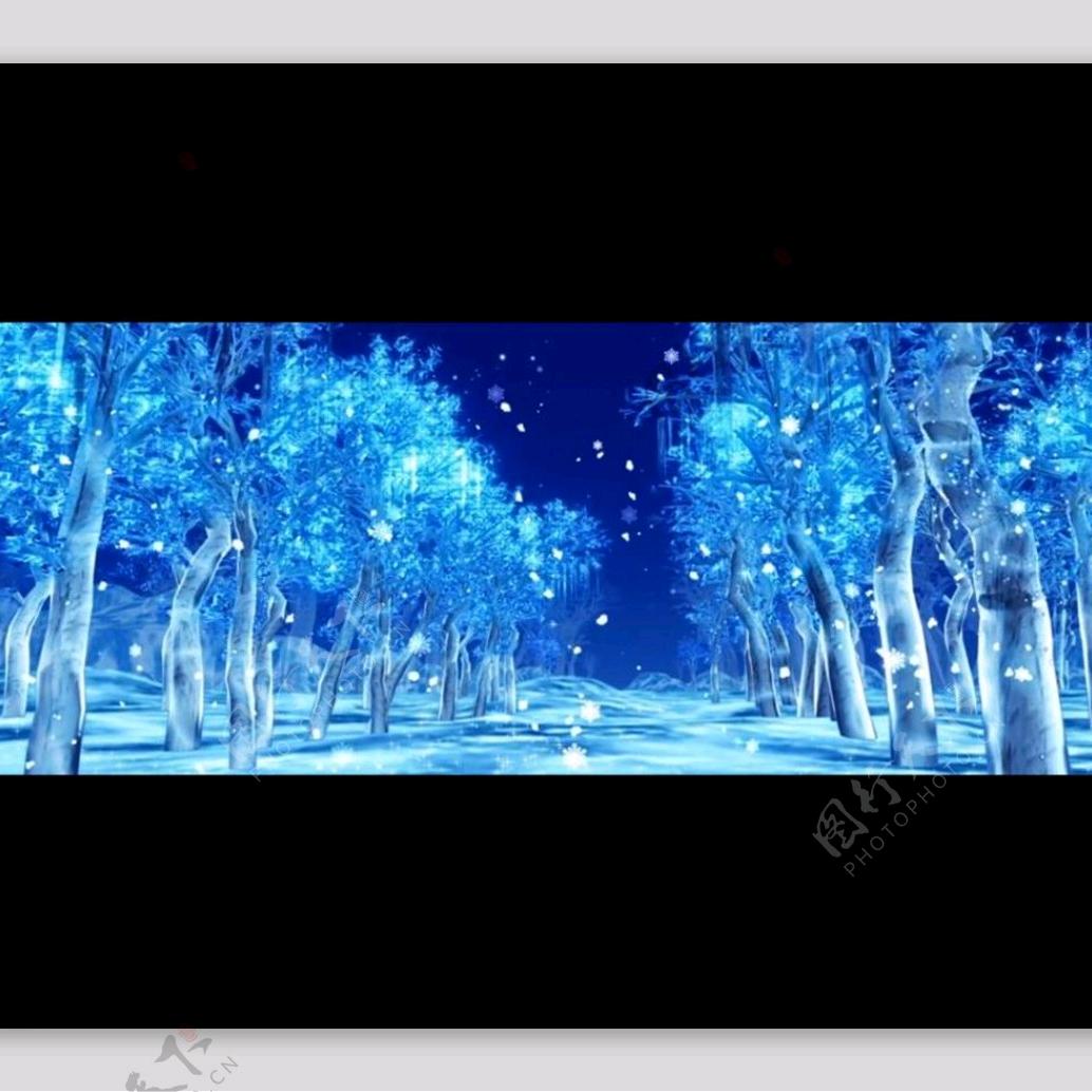 阳光下的失落🙁🙁🙁