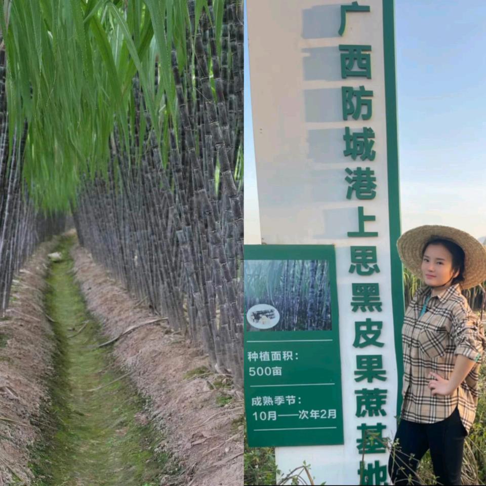 翠花果蔬