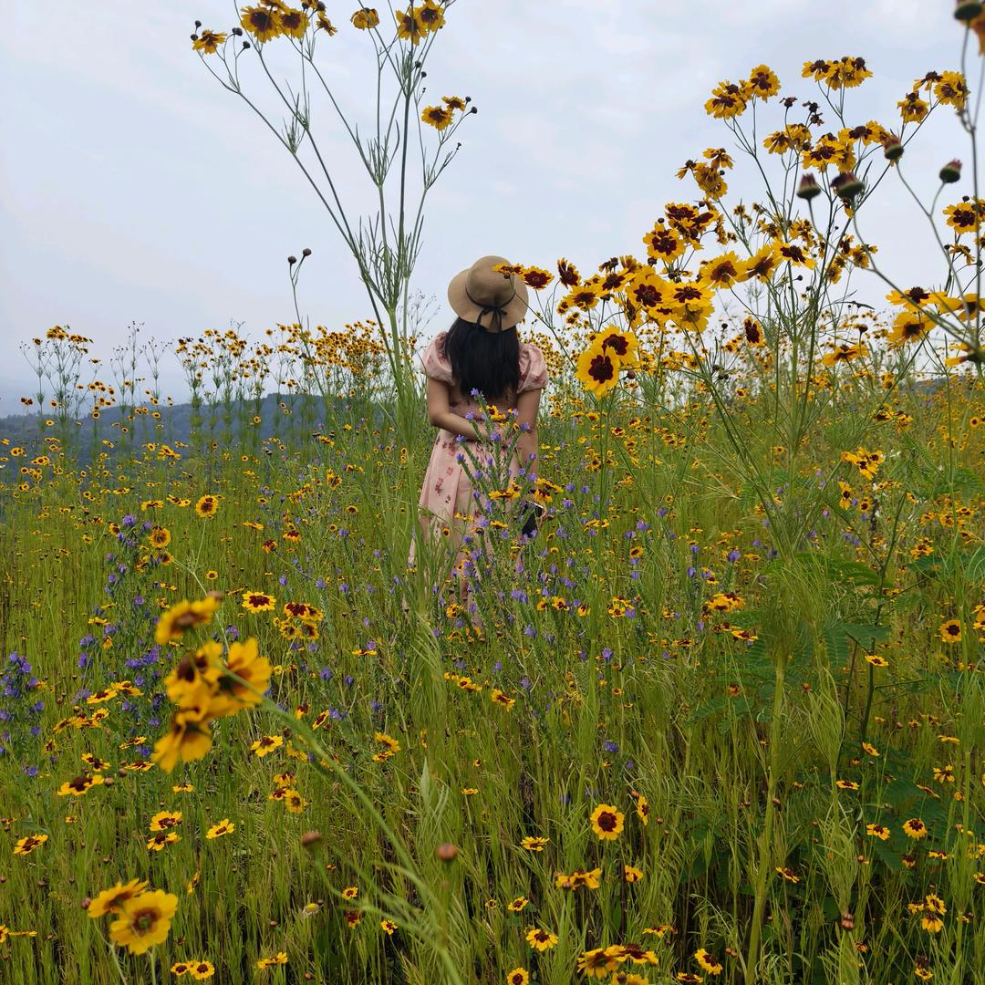 🍀🌼᭄好运ꚸ加满Չᐝ࿐