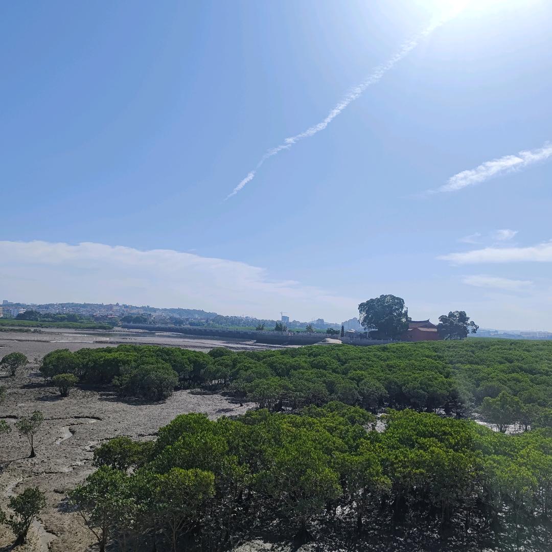 隔壁老陈