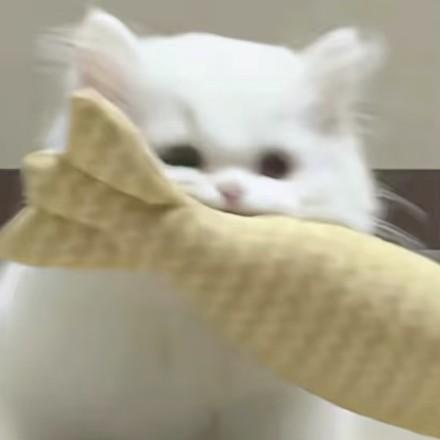 祈念