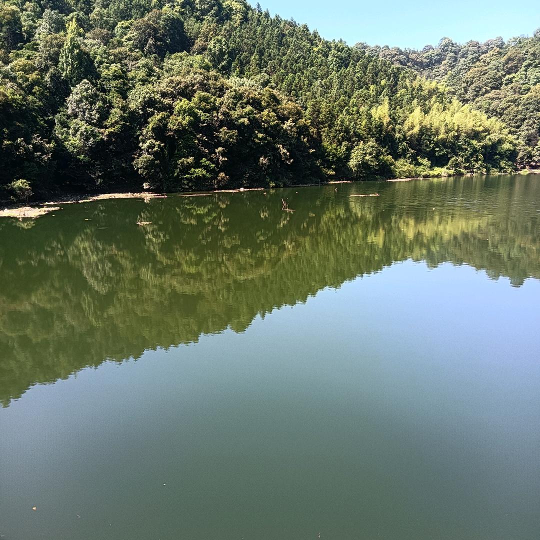 袁火星