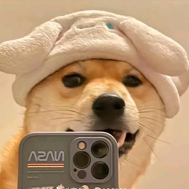 狗不李🐶