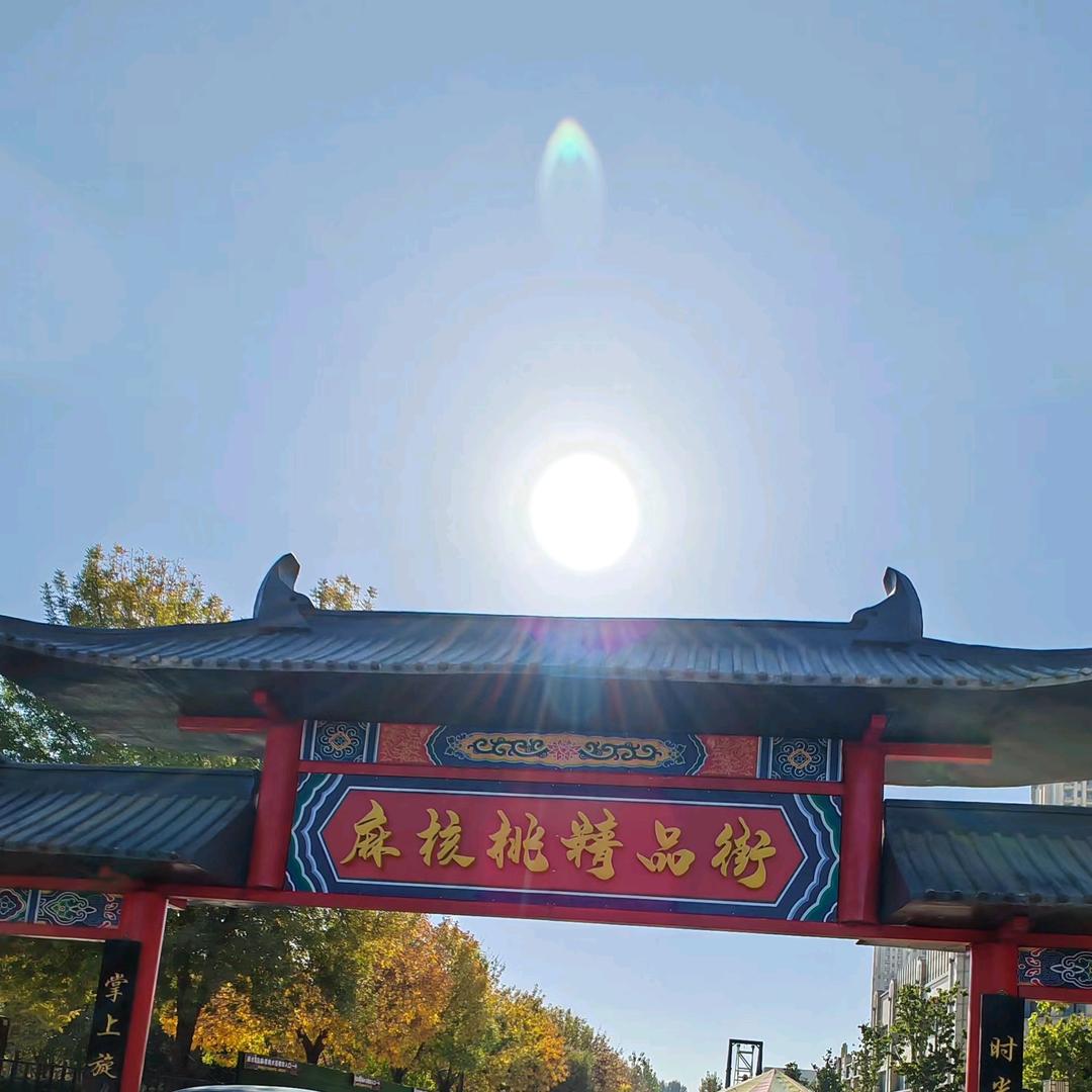 核桃供应链老孙～涞水麻核桃精品街