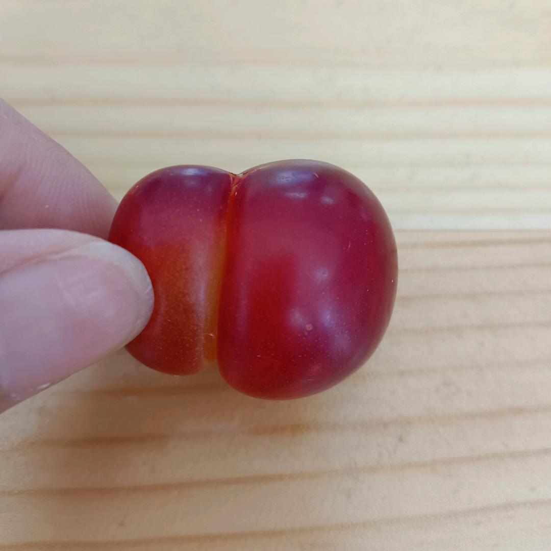 布弃（首播）