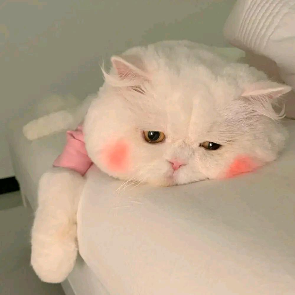 小鱼妹妹剧场