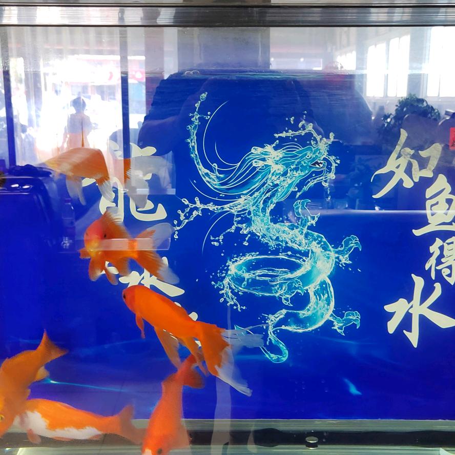 易县春旭车行
