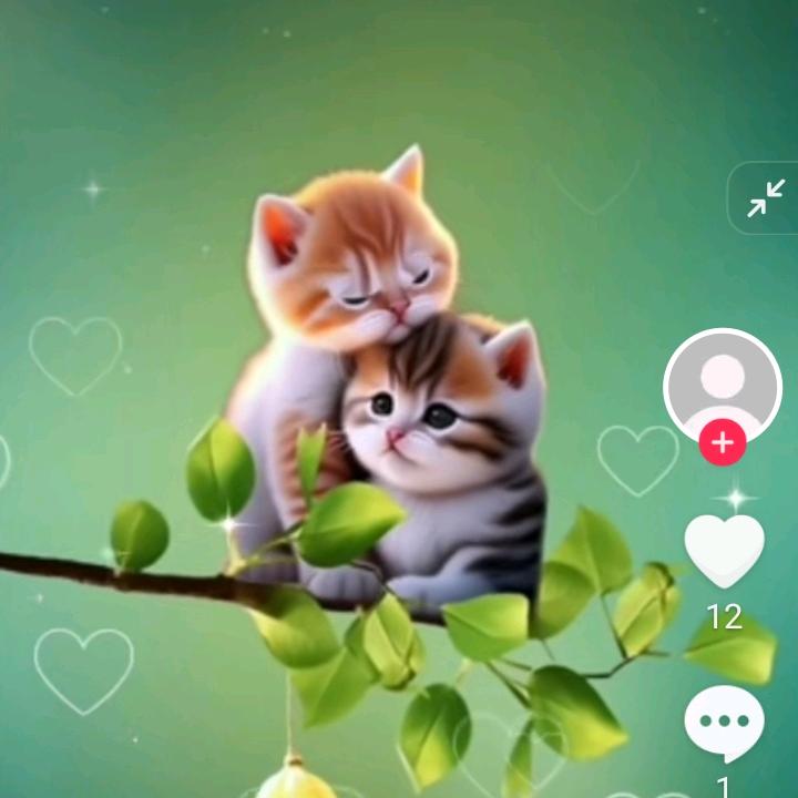 蕙兰苑