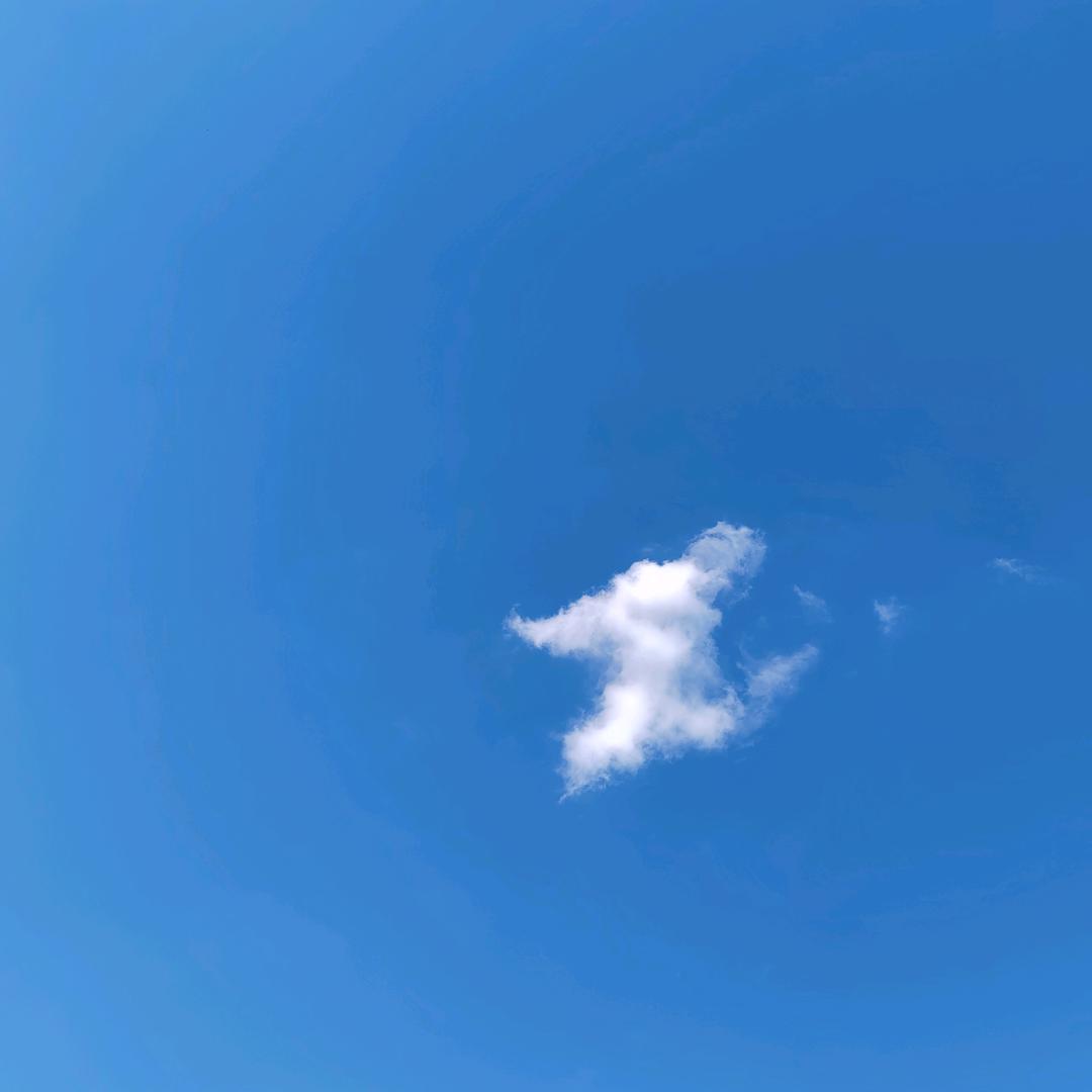 小伶的