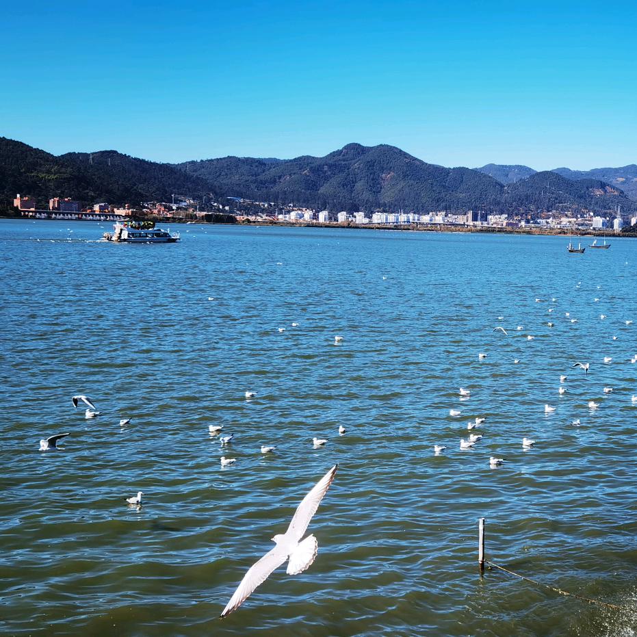 镇雄广告招牌发光字