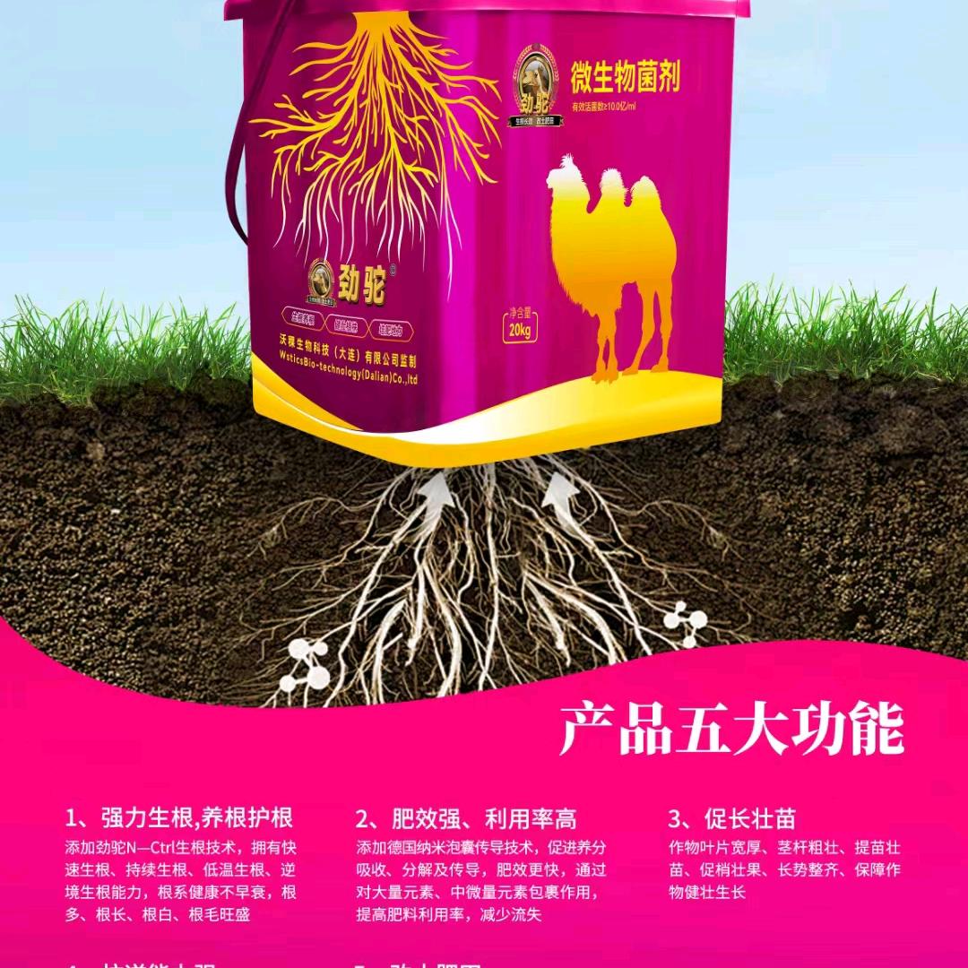 千家镇劲驼槟榔管理服务