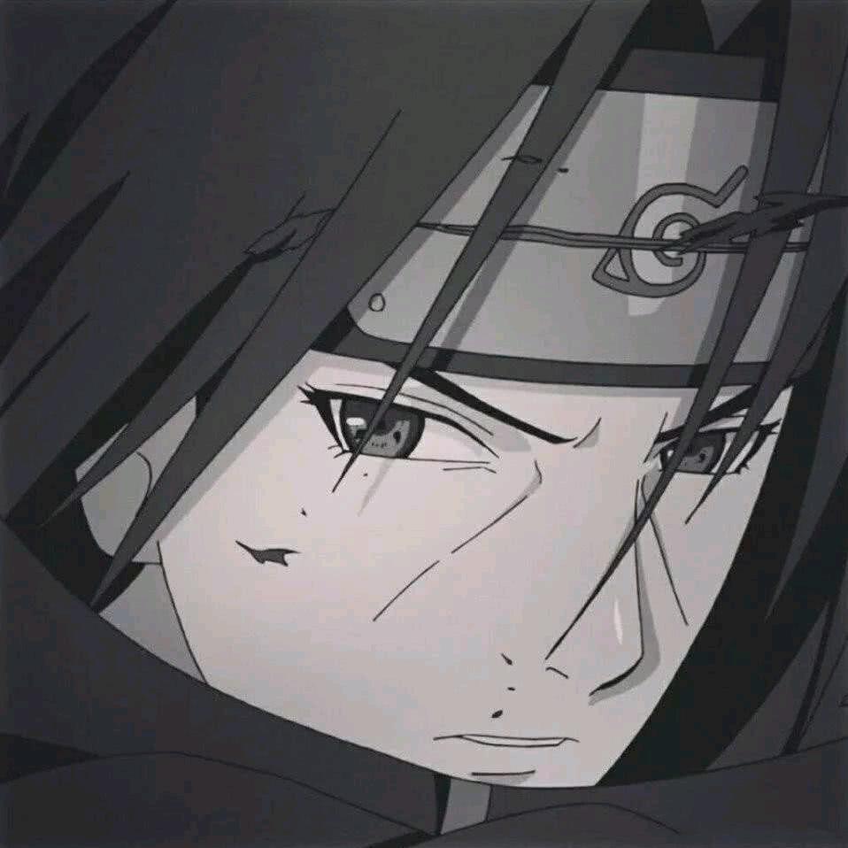 新新XXIN（三角洲）