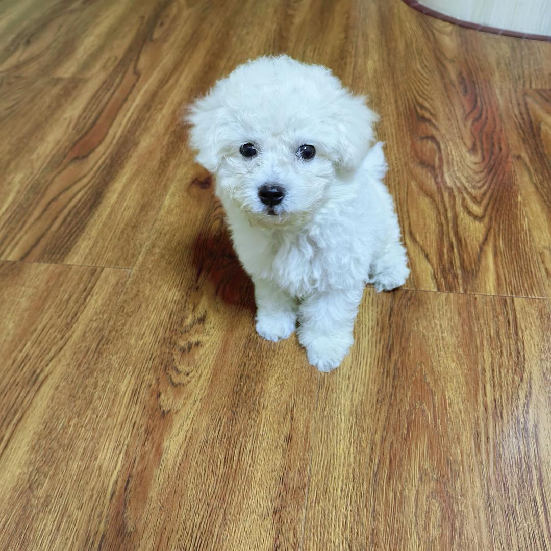 以后的日子，会越过越好