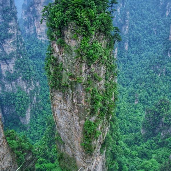 我是闲人