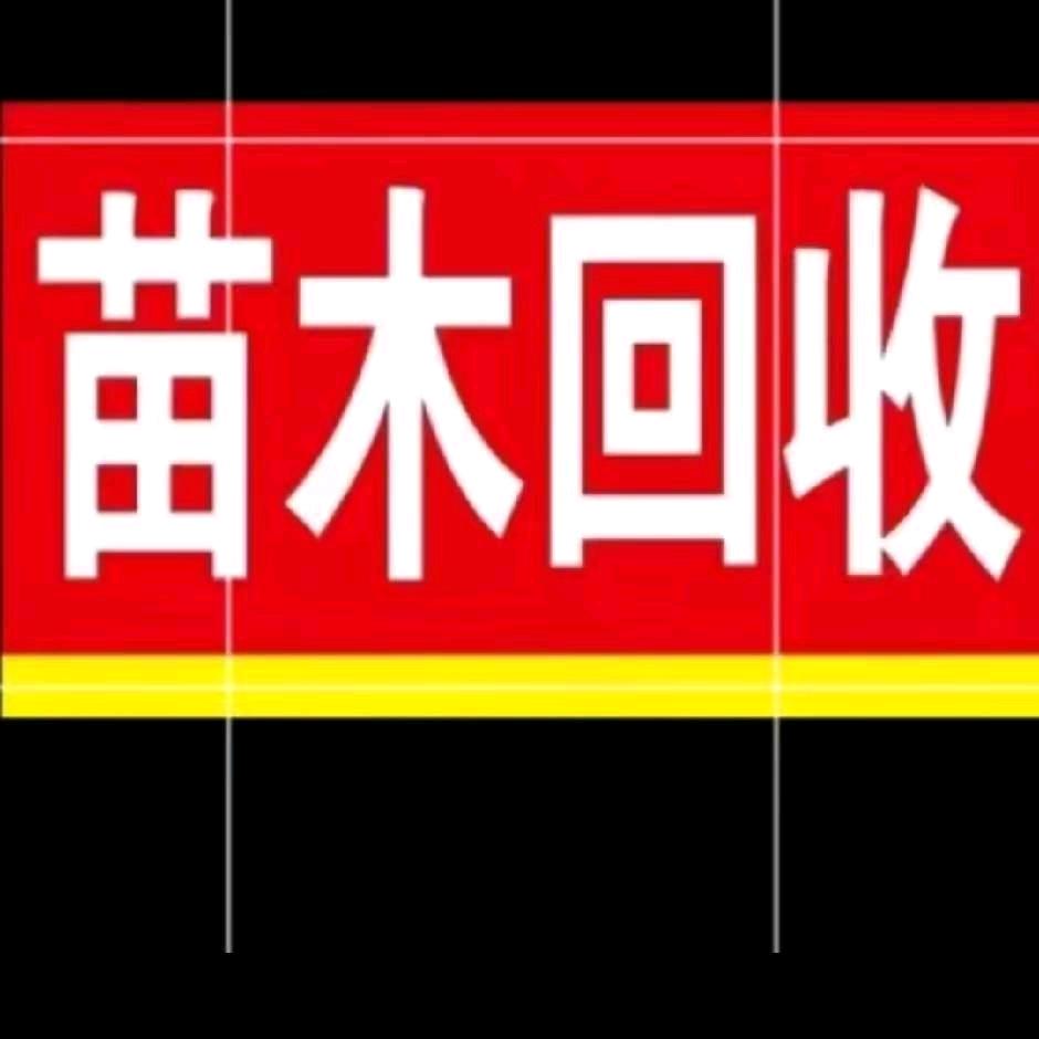 用户8720488535163绿缘精品花