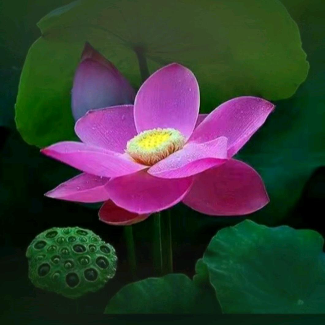 万象皆春