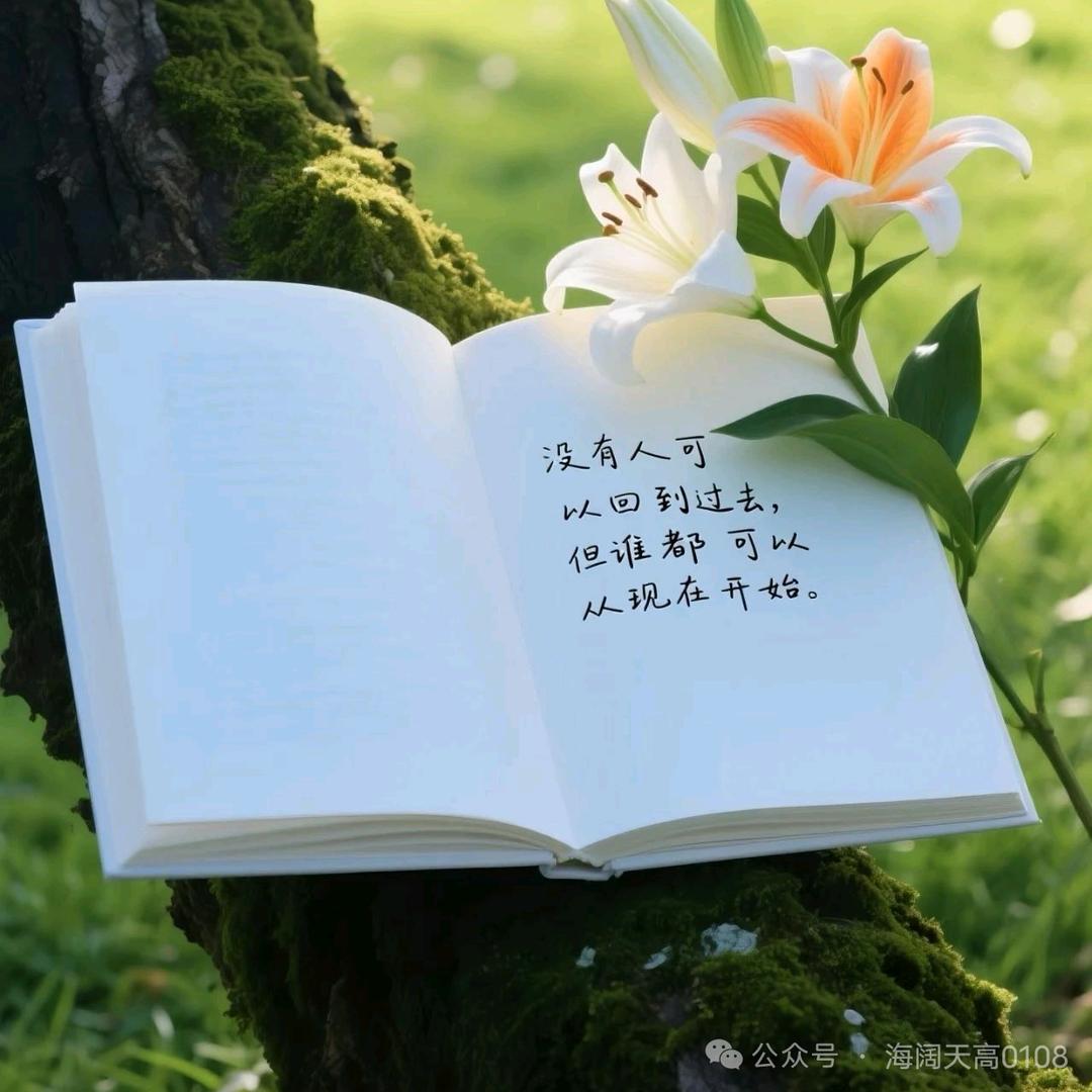 💗᭄人生靠自己ꦿᩚ᭄এ