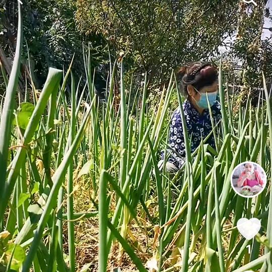 农村你四姐（保姆）