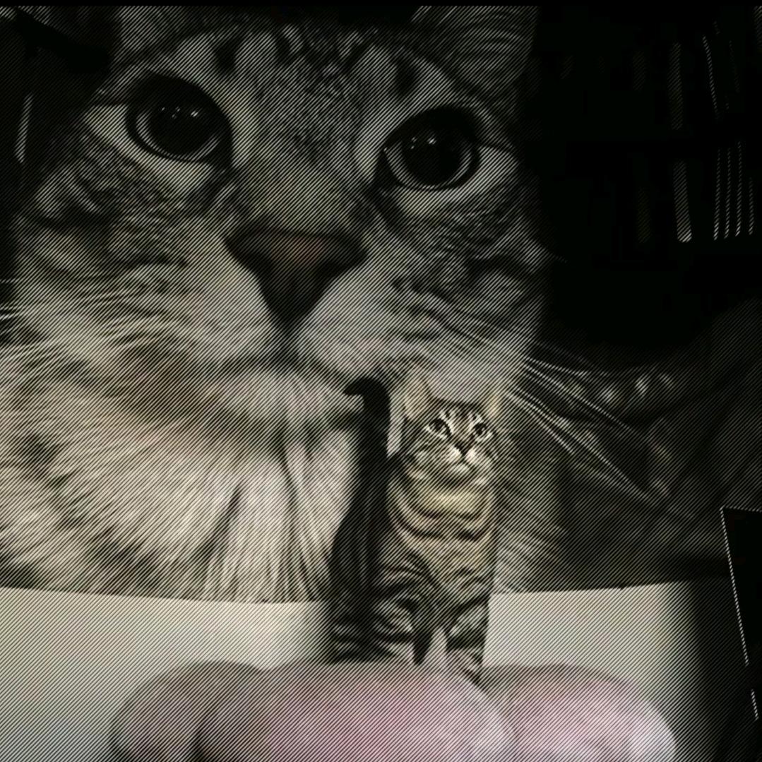 𝒞𝒽𝒶𝒾𝓇_𝒮𝒫ℛ𝒞