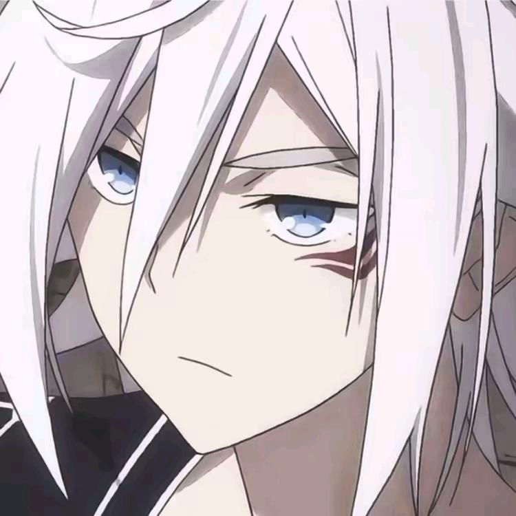 海南的冬天没有雪