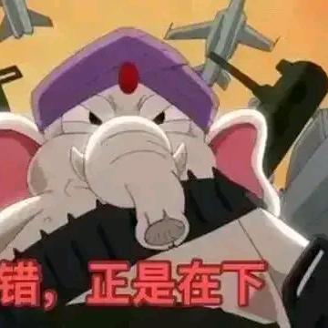 天盖地虎王