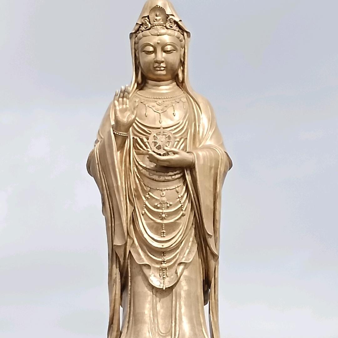 蛇转乾坤