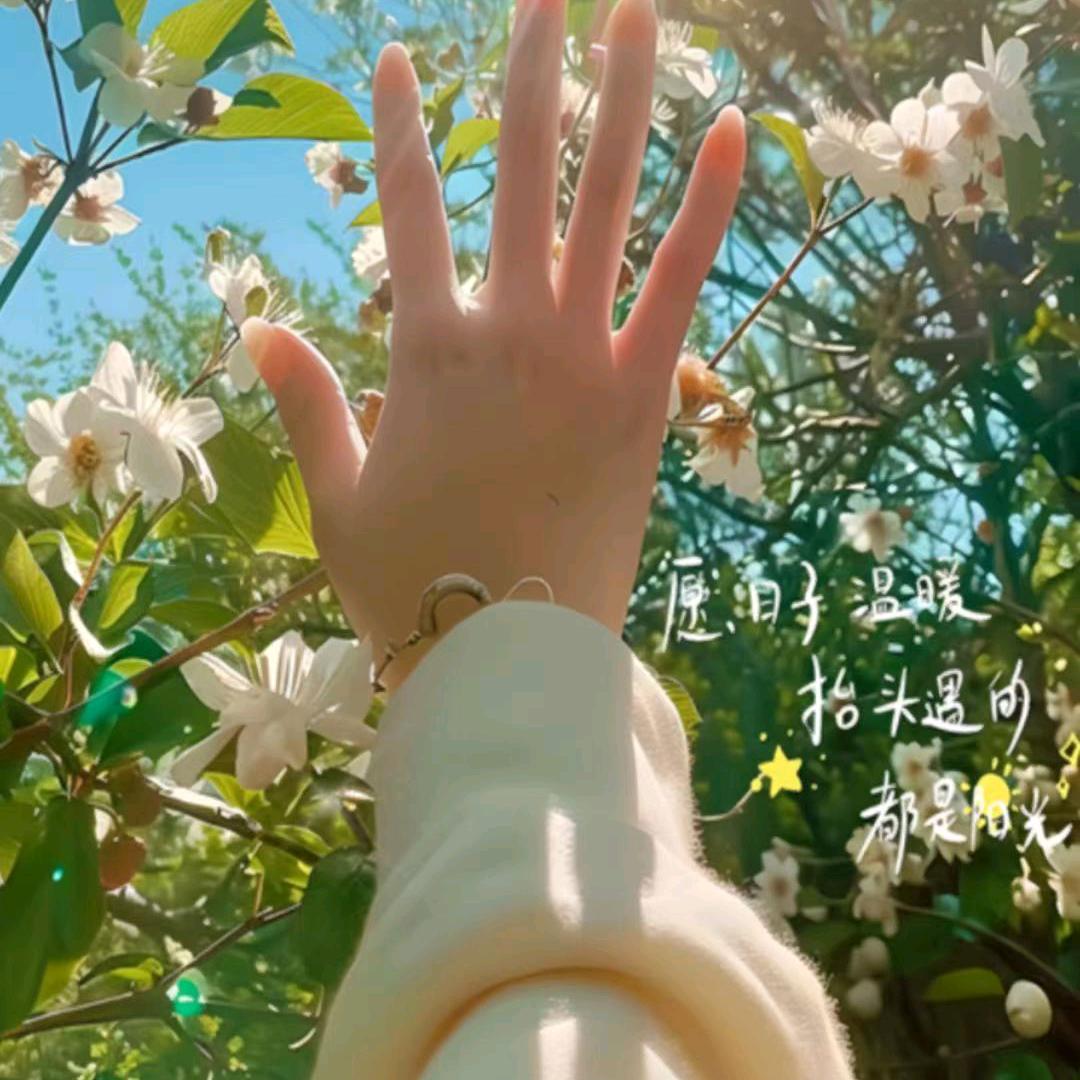 风中雨