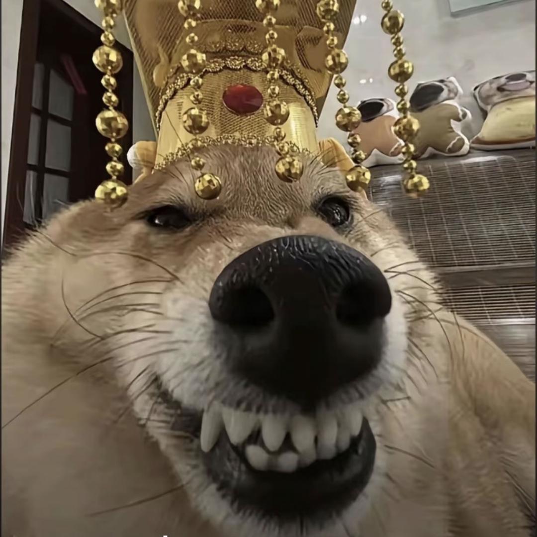 东北胡英俊