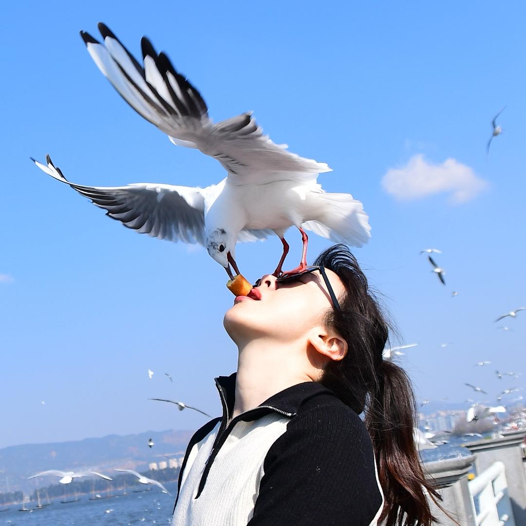 启航驾校～C1-C2张教练