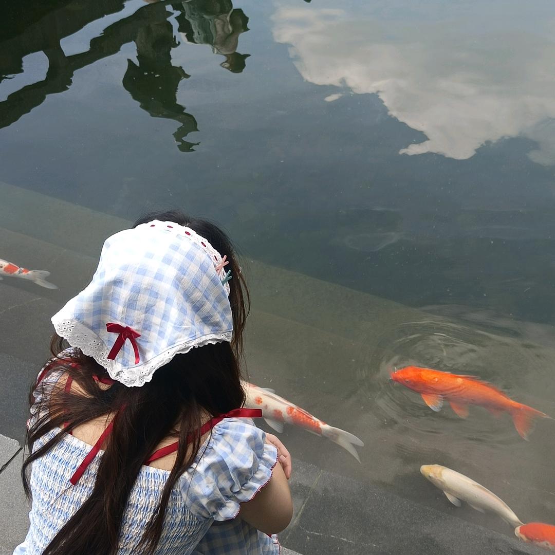 猪蹄炖洪烧肉