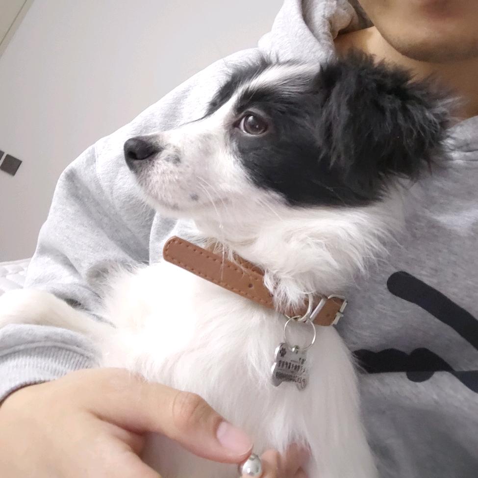 馒头！