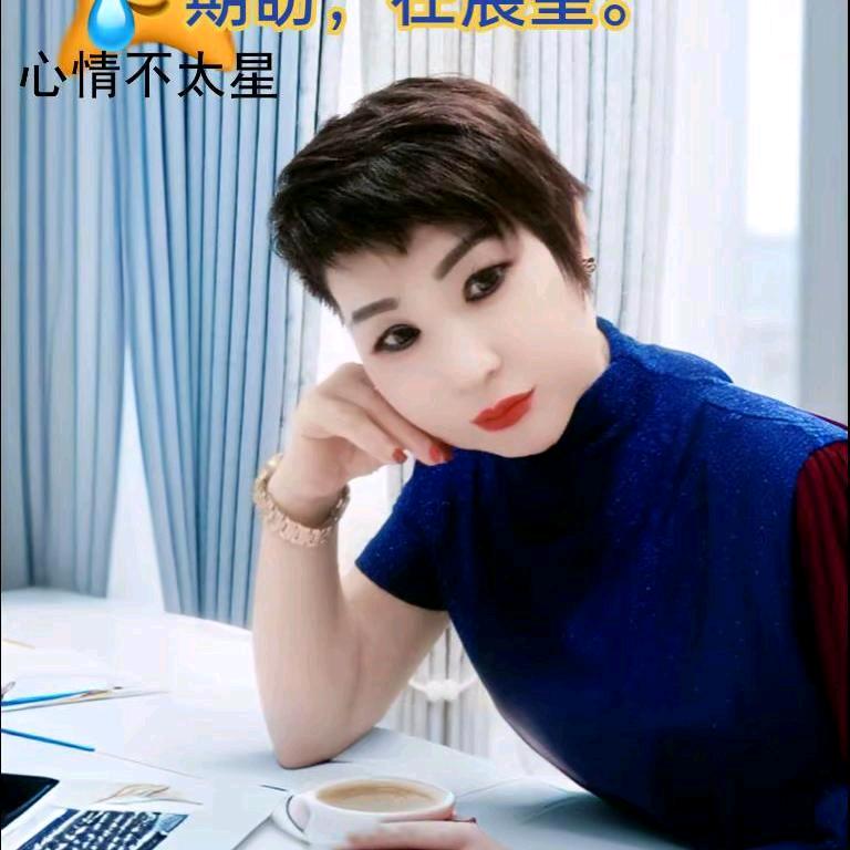 兰州南瓜布丁周周