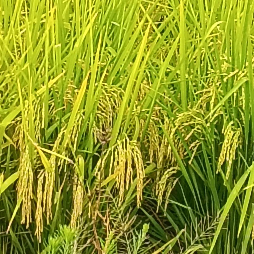 向梦想出发