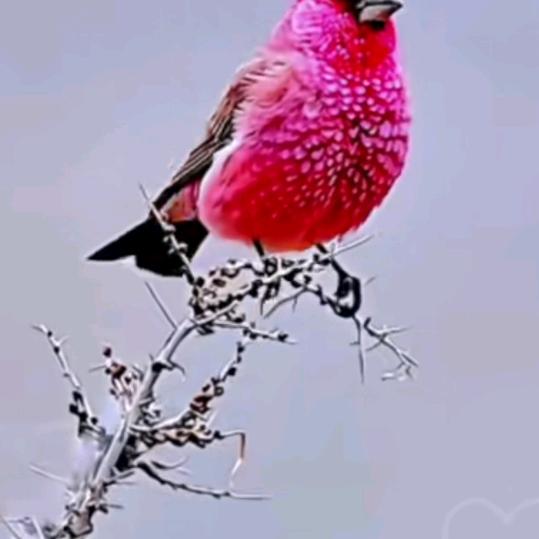 手机用户60207241827