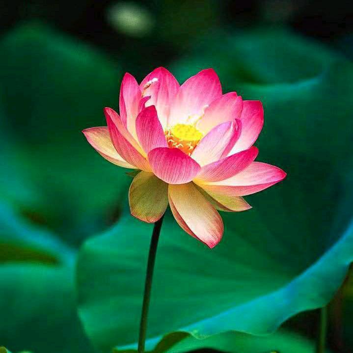 开心过好每一天